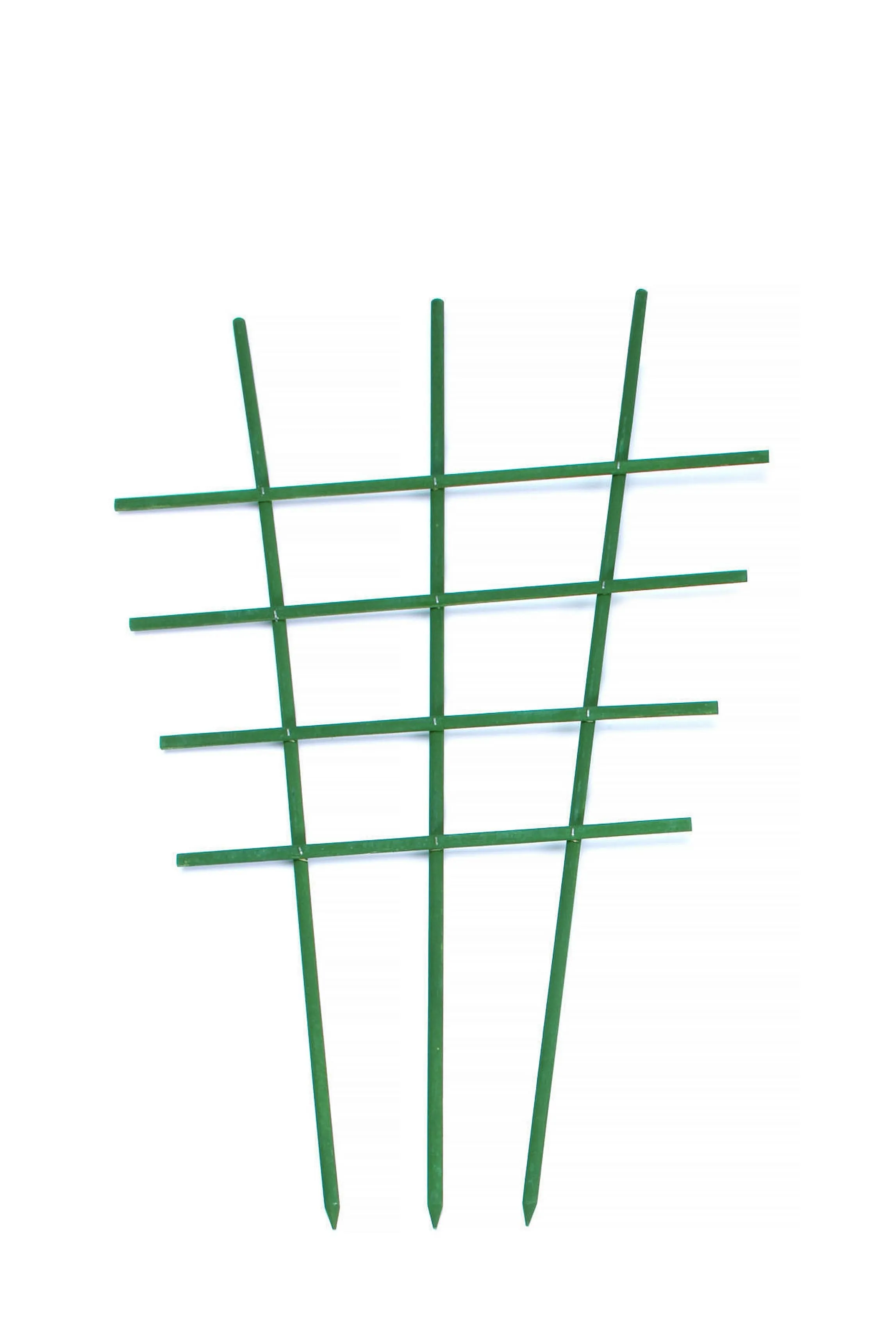 Krukspaljé, 60 cm, trä, grön